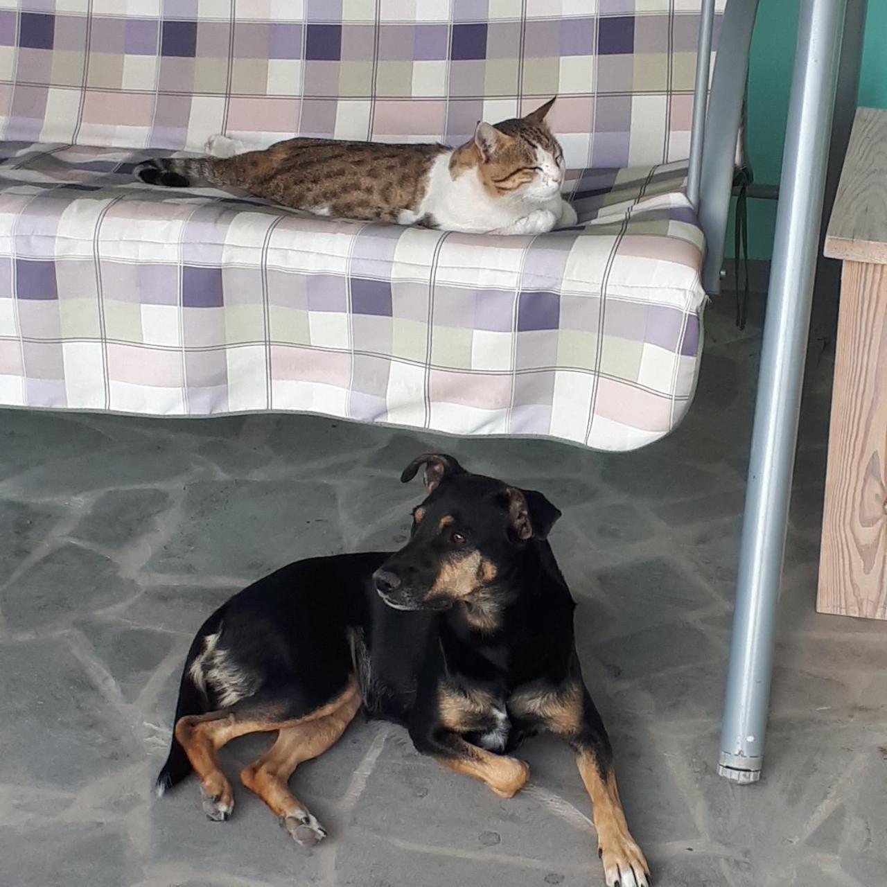 Bed & Breakfast 3 Gs Гохт Экстерьер фото